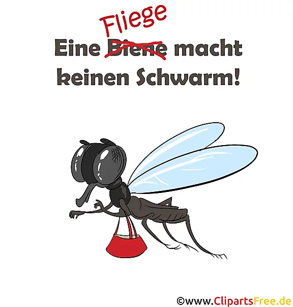 Lustige Sprüche, Redewendungen - Eine Biene macht keinen Schwarm
