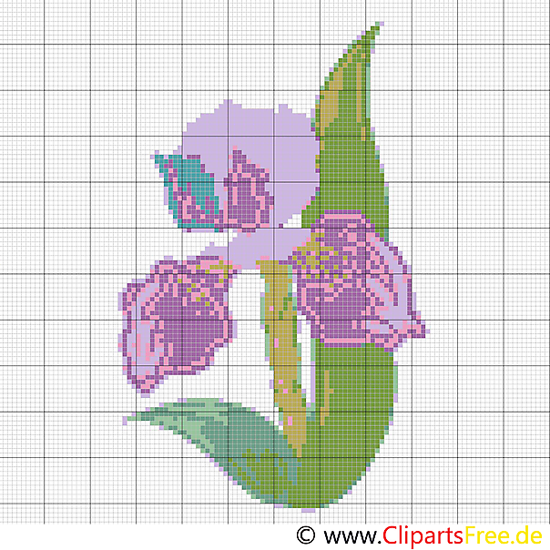 Stickbild Kreuzstich  Schwertlilie