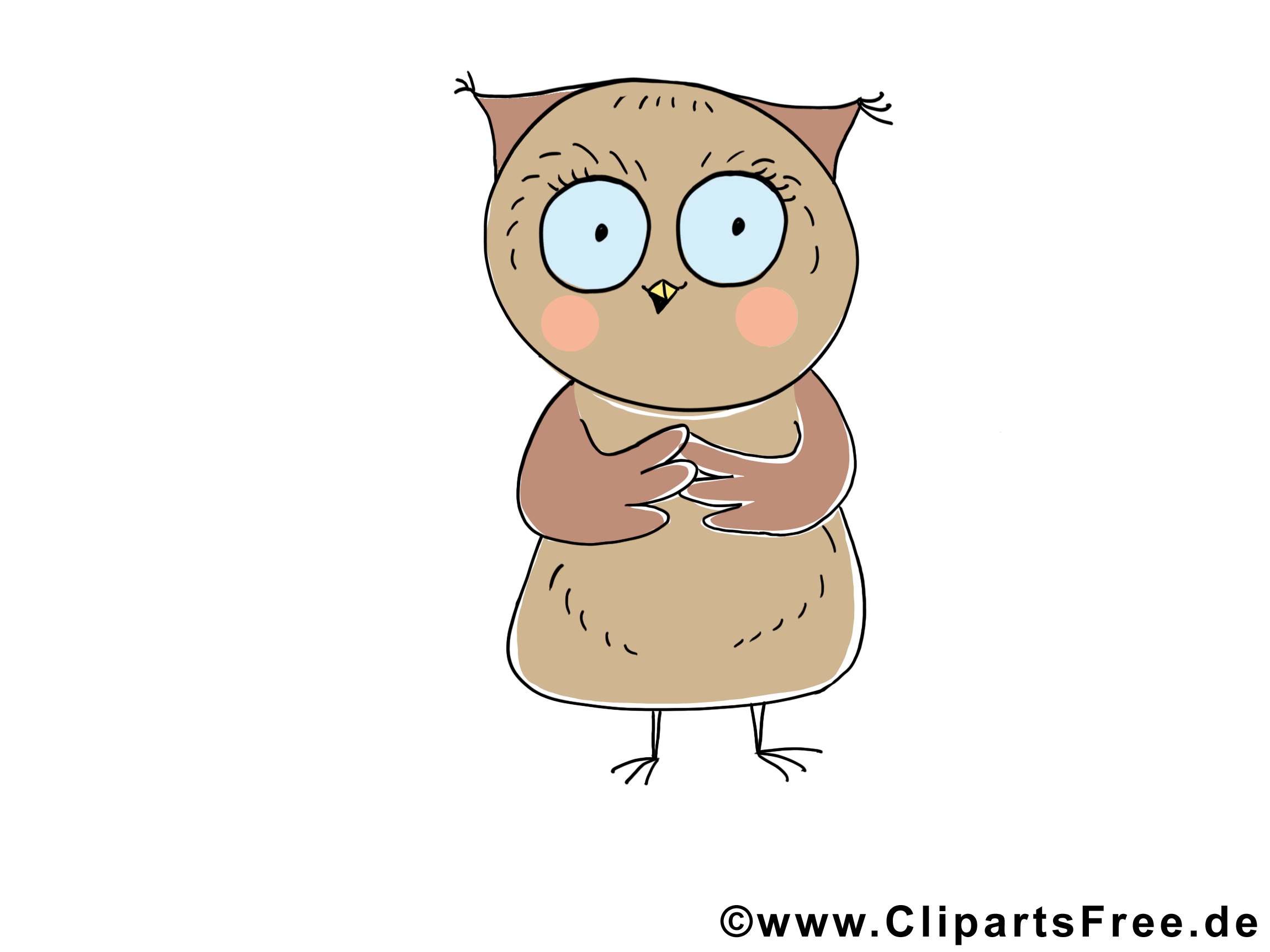 Eule Bild Clipart Lustige Tierbilder Gratis