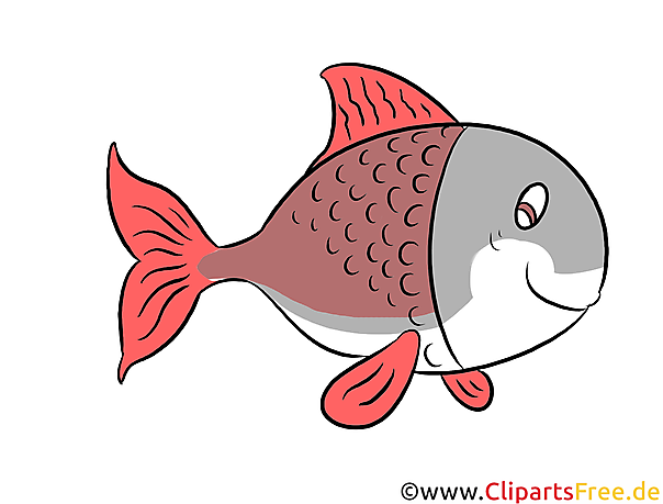 Fisch Clipart Illustration Bild Kostenlos