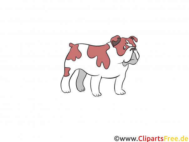 Bulldog Clipart Hunderassen Bilder zum Drucken