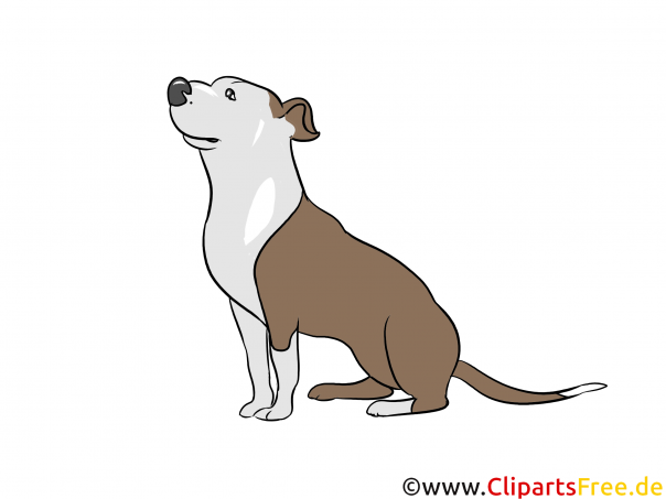 Hund Clipart Hunderassen Bilder zum Drucken