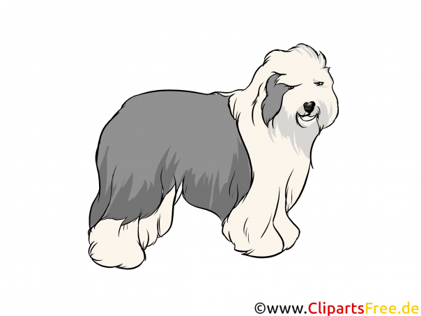 Hund wie Einstein im Film Zurück in die Zukunft - Clipart Hunderassen Bilder