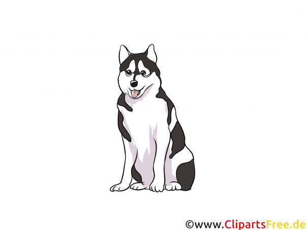 Husky Clipart Hunderassen Bilder zum Drucken
