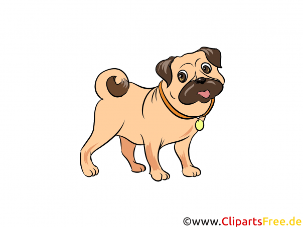 Mops Clipart Hunderassen Bilder zum Drucken