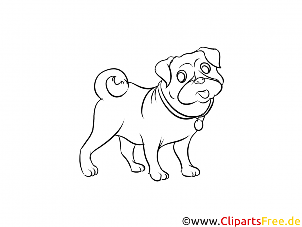 Mops Zeichnung, Illustration, Bild zum Malen