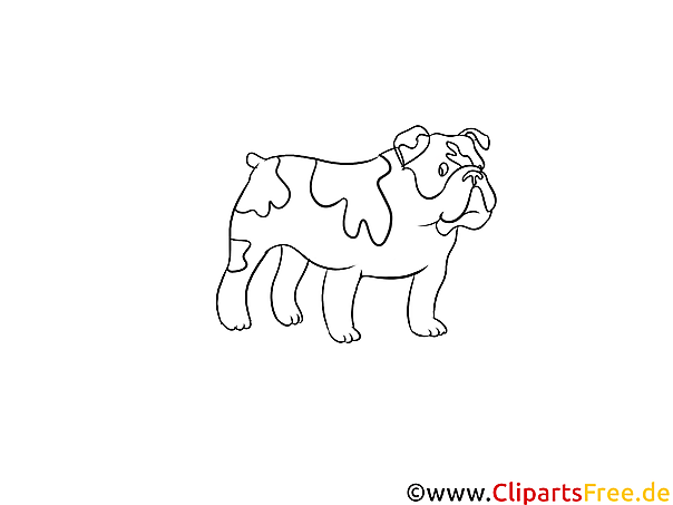 Schwarz-weiss Clipart Bulldog - Hunderassen Bilder