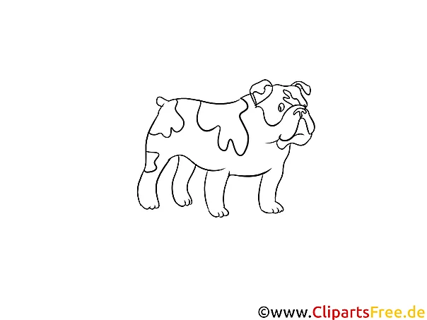 Schwarz-weiss Clipart Bulldog - Hunderassen Bilder