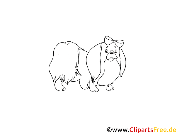 Schwarz-weiss Clipart Chihuahua - Hunderassen Bilder