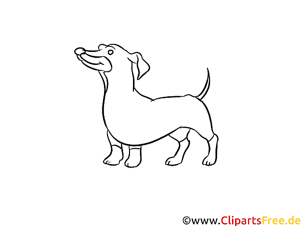 Schwarz-weiss Clipart Dackel - Hunderassen Bilder