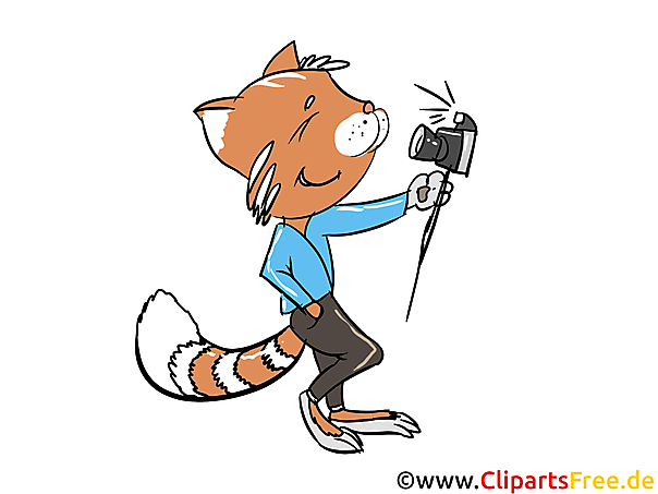 Katze macht Selfie mit Fotokamera Bild, Clipart, Illustration