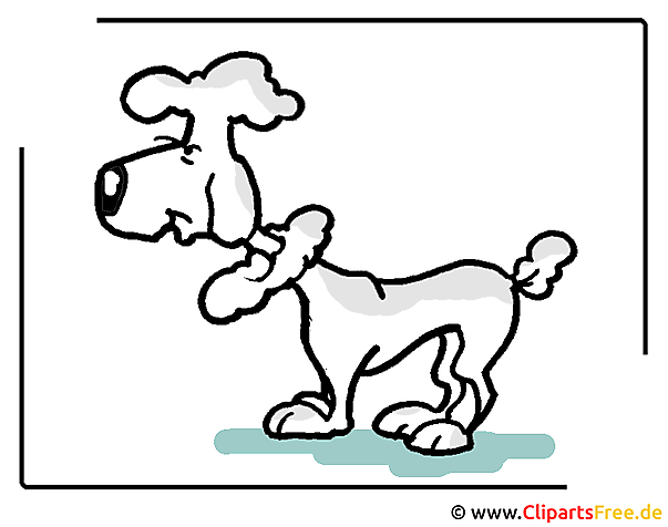 Pudel Clipart Kostenlose Cliparts Hunde