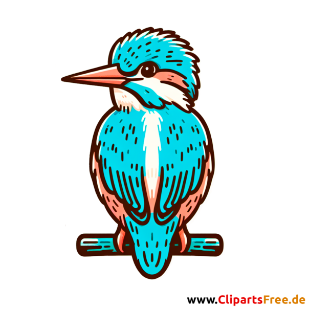 Eisvogel Clipart - Bilder zum Thema Vögel