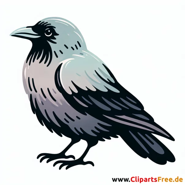 Krähe Clipart - Bilder zum Thema Vögel