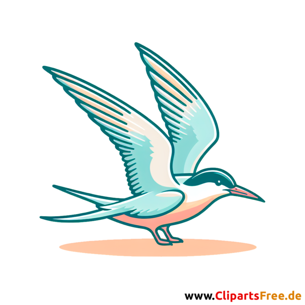 Seeschwalbe Clipart - Bilder zum Thema Vögel