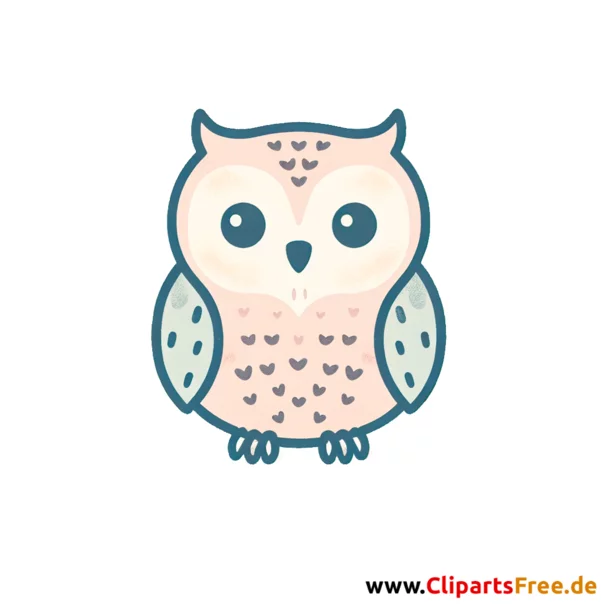 Steinkauz Clipart - Bilder zum Thema Vögel