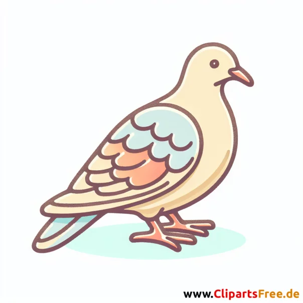 Turteltaube Clipart - Bilder zum Thema Vögel