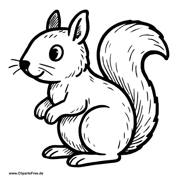 Clipart Eichhörnchen schwarz-weiss zum Drucken