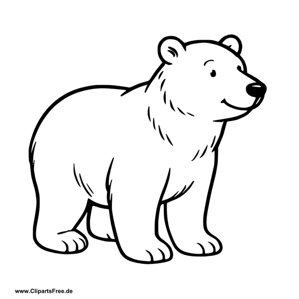 Eisbär Clipart im SVG-Format