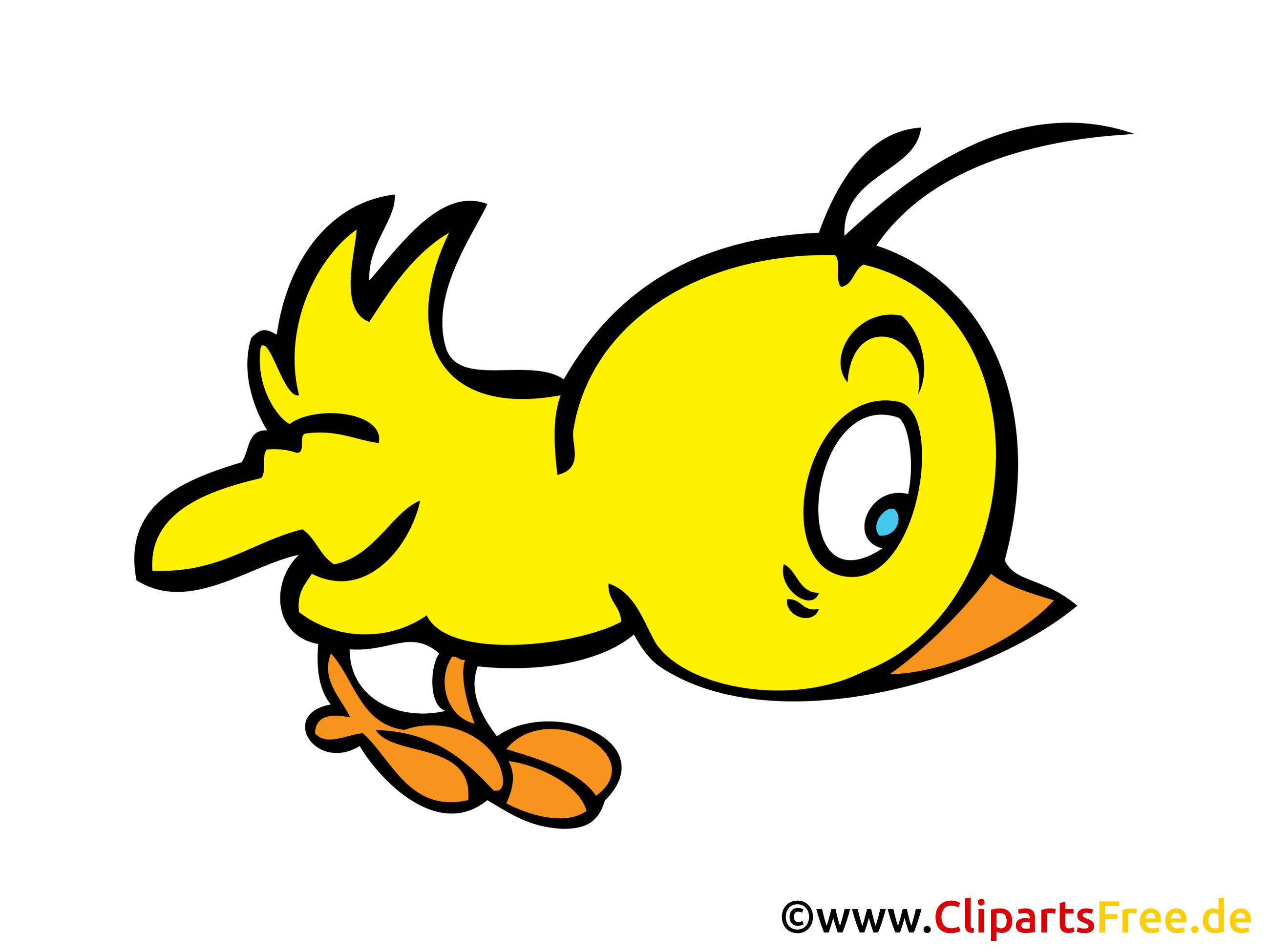 Kuken Clipart Bild Comic Cartoon Gratis