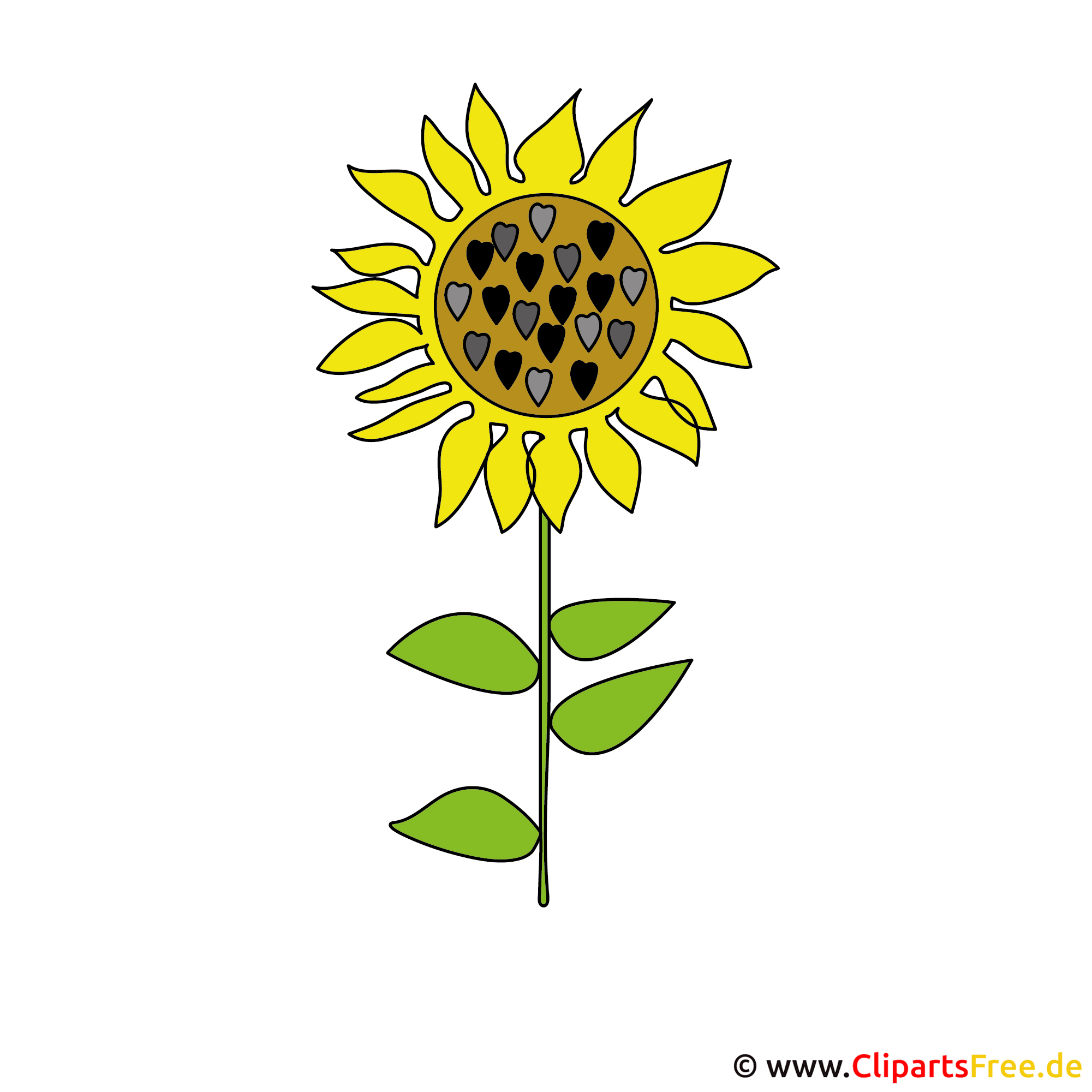 Sonnenblume Bild Clipart kostenlos