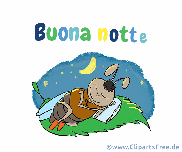 GifGrußkarte Gute Nacht auf Italienisch