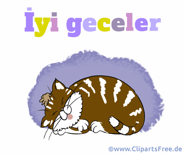 Animiertes Bild Gute Nacht auf Türkisch