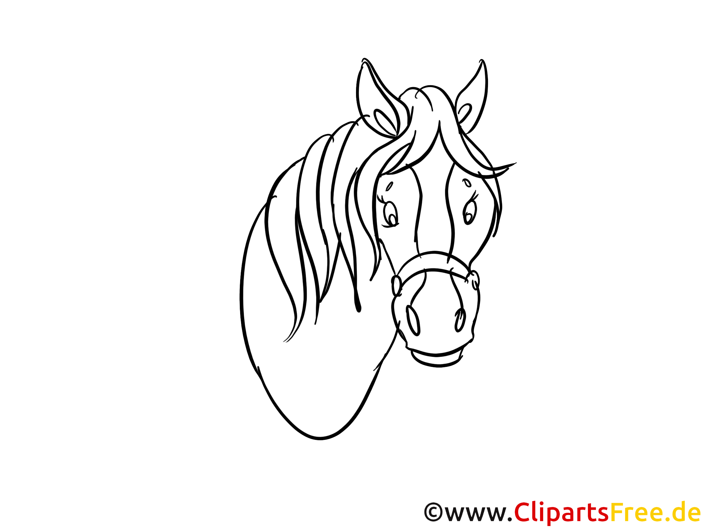 pferdekopf zeichnung