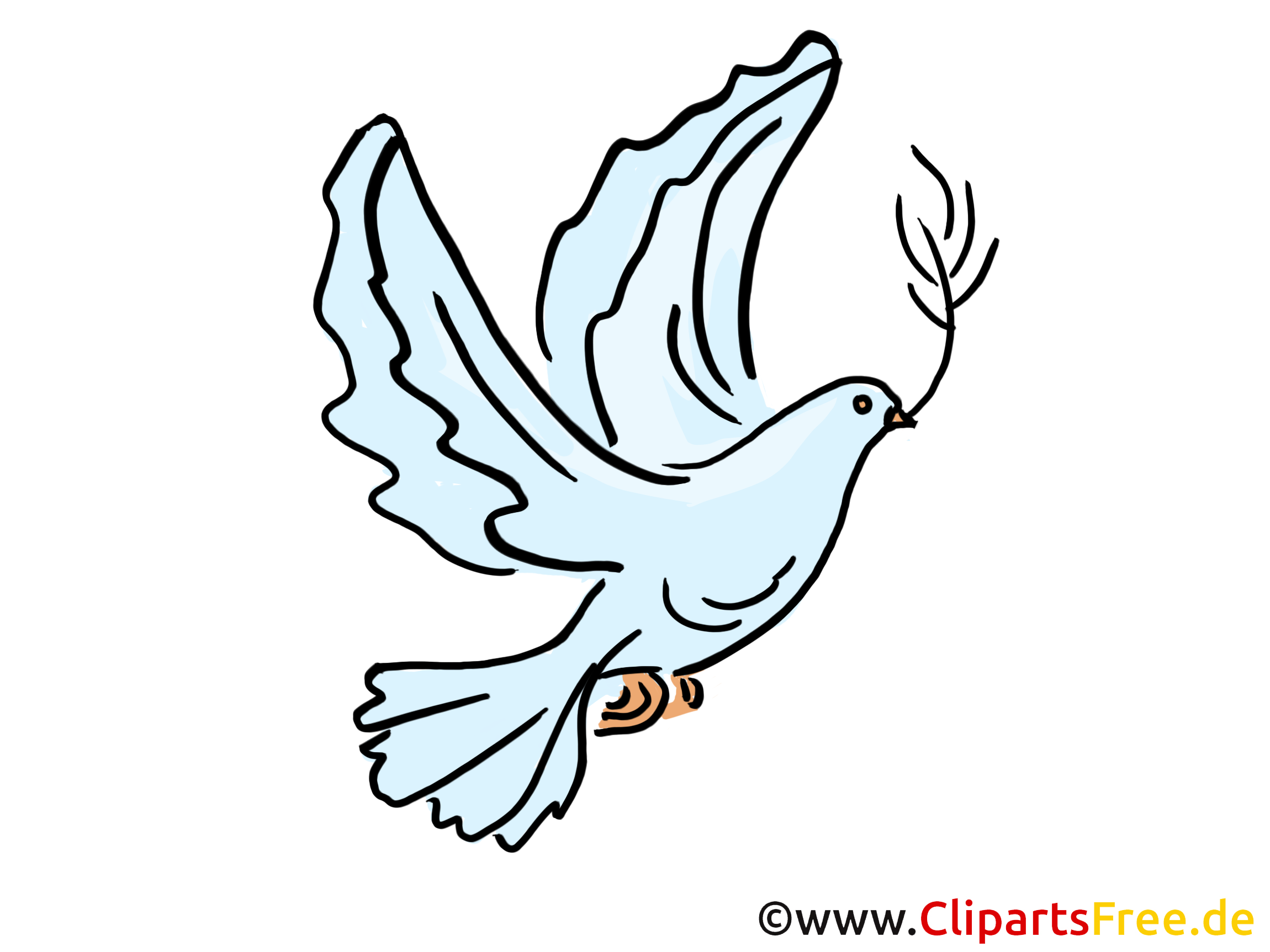taube illustration