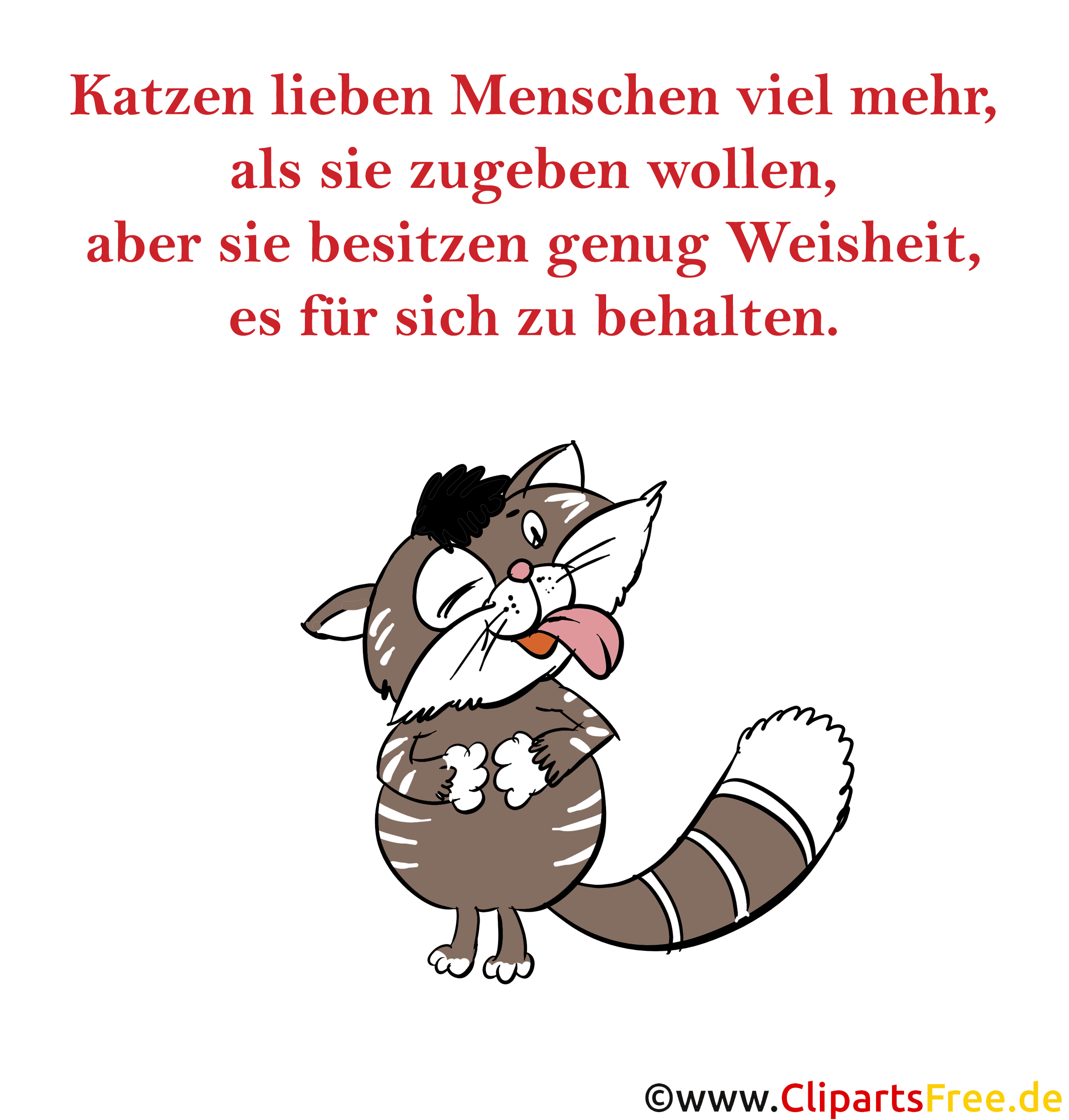 Katzen Sprüche und Bilder witzig