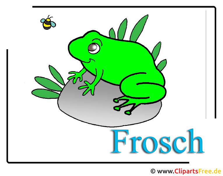 Kostenlos frosch bilder Frosch Malen