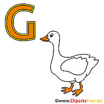 Bilderwörterbuch - Gans Bild für Schule