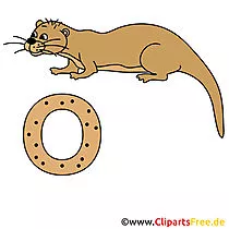 Deutsch Alphabet - Otter Bild für Schule