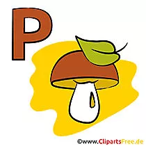 Deutsch Deutsch Wörterbuch - Pilz Bild für Lehrer
