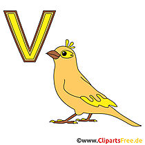 Kinder Alphabet - Vogel Bild für Deutschunterricht
