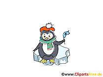 Penguin Clipart, Image, Pic