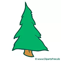 Fir tree picture, cartoon, clip art, graphic, illustration