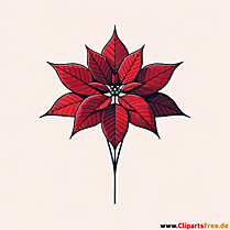 Julestjerne blomst clipart
