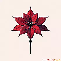 Weihnachtsstern Blume Clipart