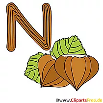 N is for Nut - Alphabet Englisch