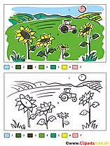 Sonnenblumen im Feld Ausmalen nach Zahlen
