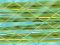 Bilder Desktop Hintergrund