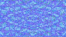 Free Background Pictures