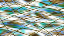 Website Hintergrund