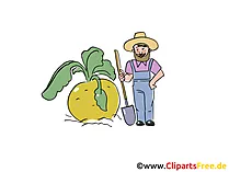 Bauer Cartoon, Bild, Clipart, Illustration