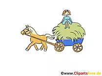 Bauernhof Bilder - Heutransport auf dem Lande