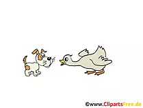Bilder Tiere auf dem Bauernhof - Hund und Gans
