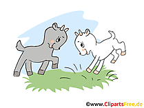 Bilder von Tieren auf dem Bauernhof