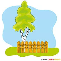 Birke Bild Clipart gratis