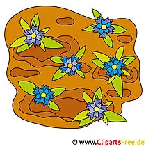 Blumen im Garten Bild Clip Art free